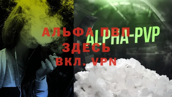 хмурый Алзамай