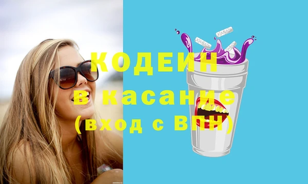 хмурый Алзамай