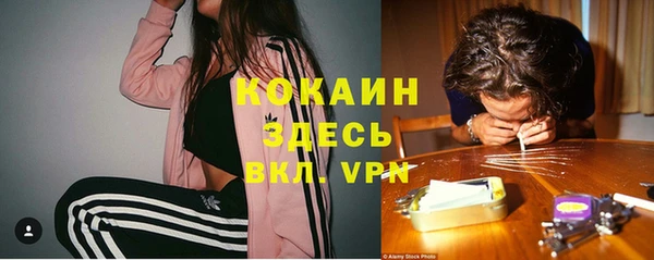 хмурый Алзамай