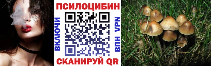 Псилоцибиновые грибы MAGIC MUSHROOMS магазин Мирный