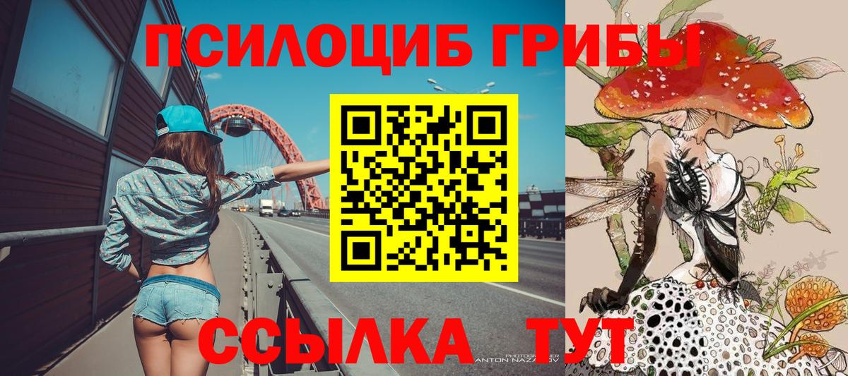 где купить наркотик  Вход с VPN  Мирный  Псилоцибиновые грибы GOLDEN TEACHER 
